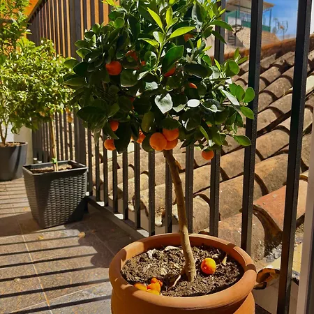 Casa Natali Bed & Breakfast 3*